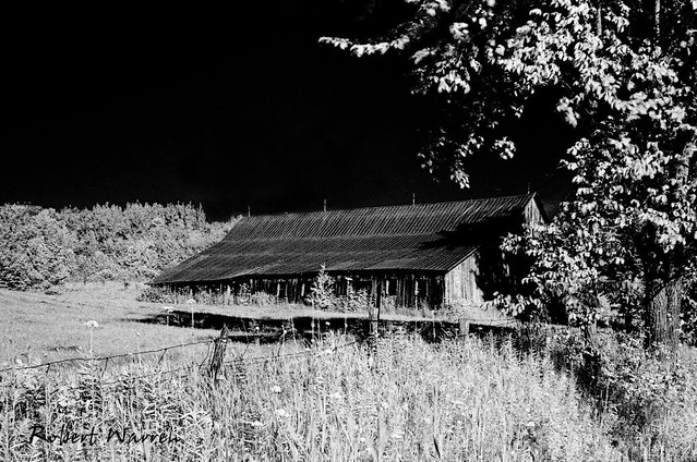 La vieille grange (Argentique, IR) / The old barn (Film, IR)