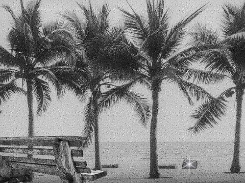 Happy Bench Monday ..... at the Beach | by Bruce aka Bingee