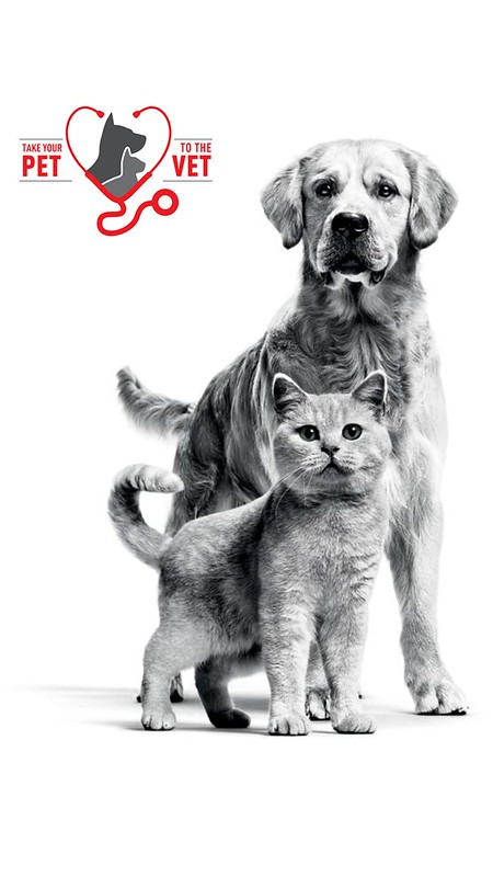 Royal Canin Galakkan Pemilik Kucing Ke Klinik Veterinar Lebih Awal Dalam Tempoh Pkp