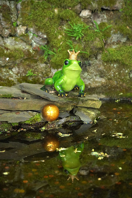 Der Froschkönig - the Frog Prince