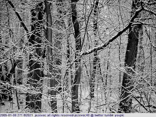 2005-01-08 271 Winter in Indiana - Southeastway Park [black & white]