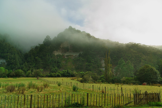 Whakahoro Fences Fog and Hill