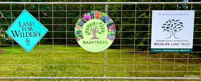 New Raintrees Native and Rainforest Gardens Signage, 3rd June 2021, Diamond Beach, NSW
