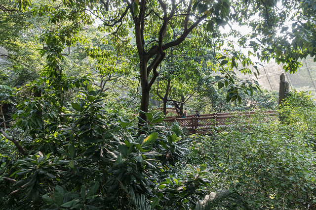 The Edward Youde Aviary in Hong-Kong Park