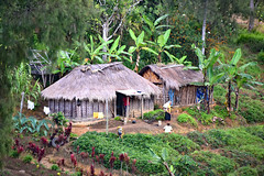 'Traditional Village Home' Central Highlands Papua New Guinea