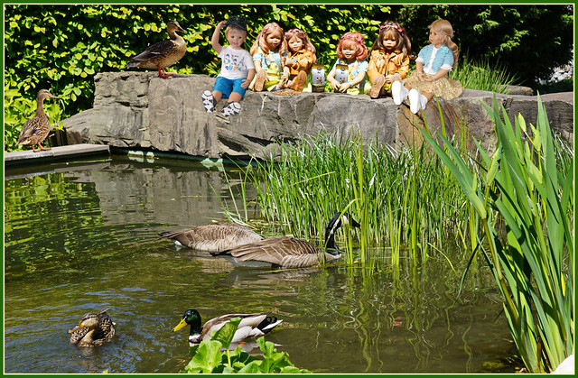 Enten füttern im Grugapark / Feeding ducks in the Grugapark