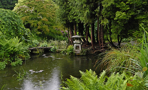 Japanese Garden Pond in Newstead Abbey in England
