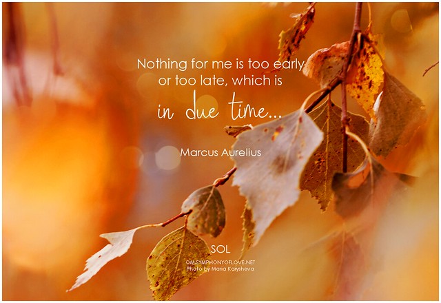 Marcus Aurelius Nothing for me is too early or too late, which is in due time...