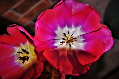 ENTRY #11 | by universityheightsartsassociation
