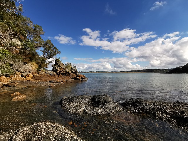 Red Rock Bay, Ngunguru Estuary. (Northland)