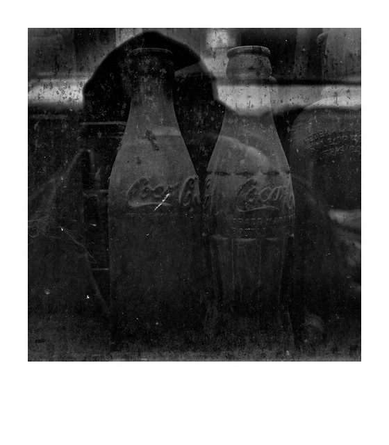 Cobwebs and dust covered bottles in storefront window
