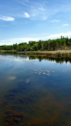 Calm | by Troops