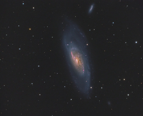 m106 qhy hyperstar galaxy meade celestron astrotech astronomy