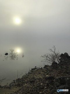 Foggy Sunrise Reflection - Buffalo, New York