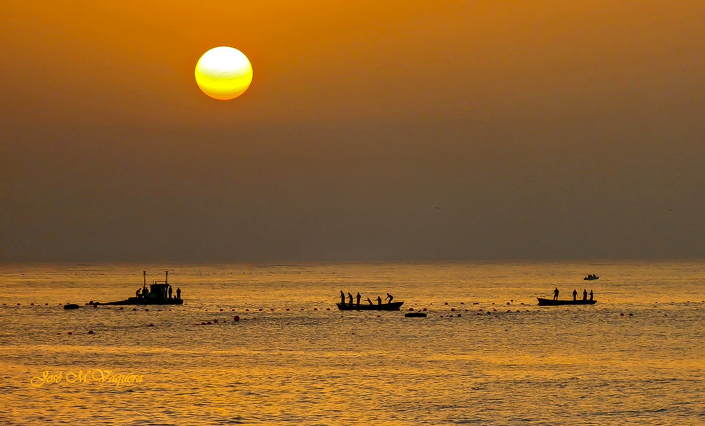 Pesca tradicional / Traditional fishing