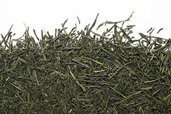 Gyokuro Shizuoka biologique