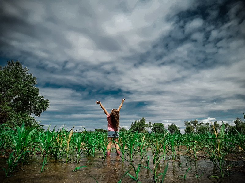 ¡Agua! ¡Dame fuerzas para vivir!. Frula. Premio 2019