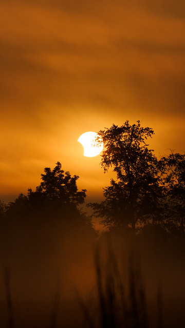 Annular Eclipse in Fog