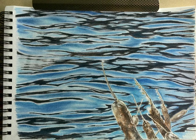 Study: Water. And Reeds