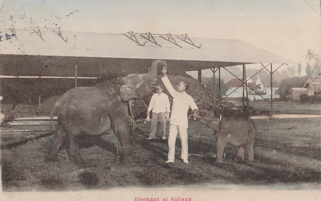 Sabang - Elephants, 1922
