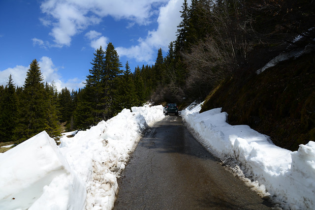Zufahrt Ende Mai: Schneemauern anstatt Weidezäune