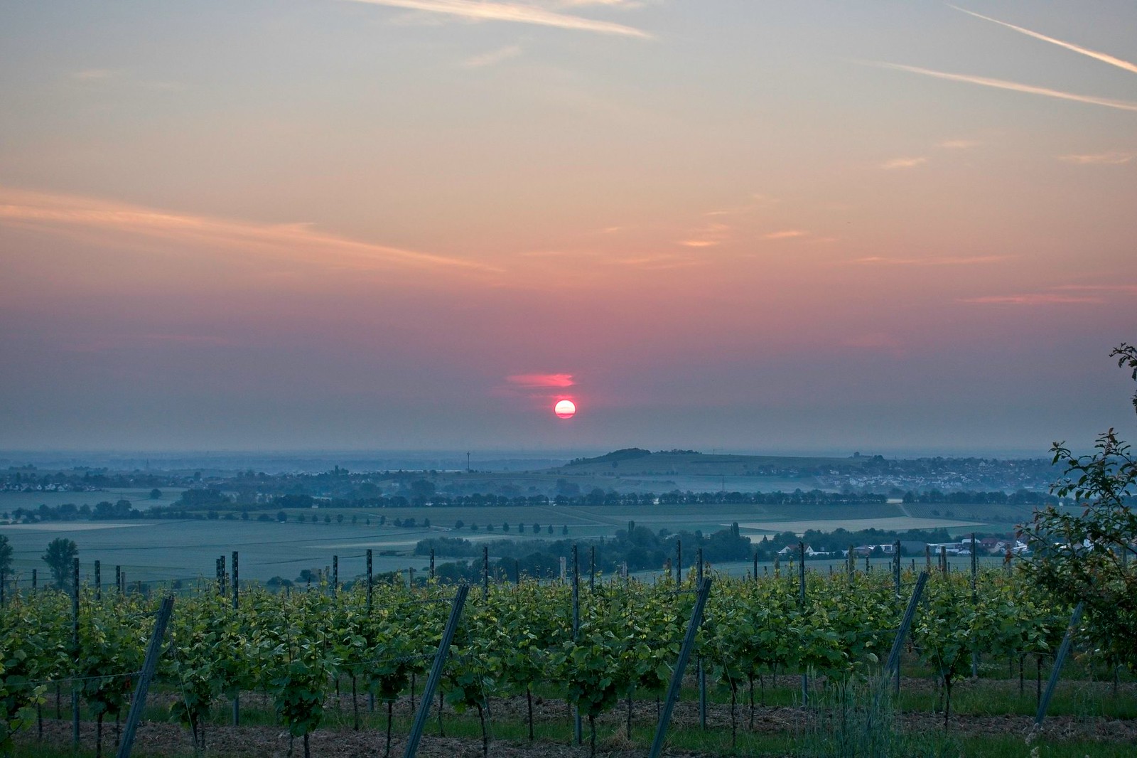 Sonnenaufgang über Frankfrut: Wingertshäuschen auf dem Winkel - SunriseHike am Selzbogen in Rheinhessen