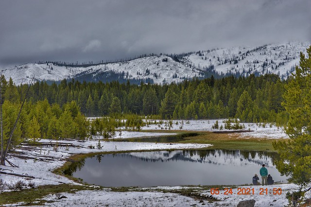 May snow in Yellowstone