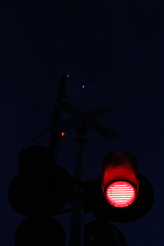 Reaching for the moon | by MILW157