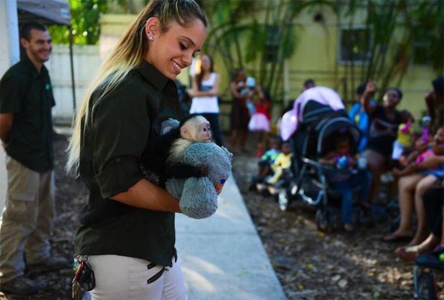 ZWF team member holding a capuchin monkey