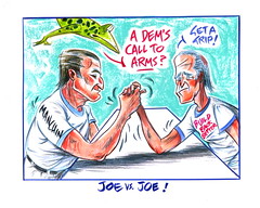 Joe vs Joe