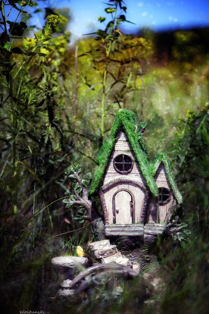 Fairy Home