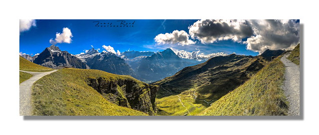 Plaine du First - Grindelwald / Alpes Bernoises / Suisse