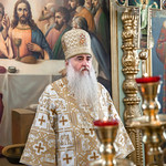 Божественная литургия в храме в честь иконы Божией Матери «Неопалимая Купина» Ульяновска