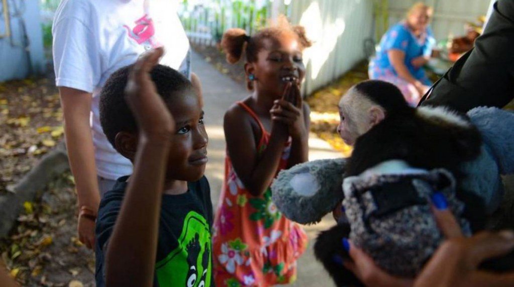 Children meeting a ZWF animal at Lotus House