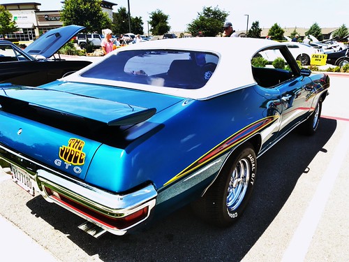 GTO, The judge | by TnT's