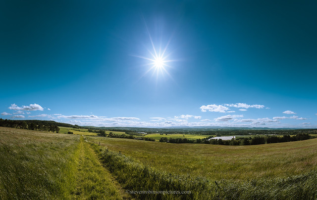 Summer in the Shire