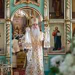 Божественная литургия в храме в честь иконы Божией Матери «Неопалимая Купина» Ульяновска
