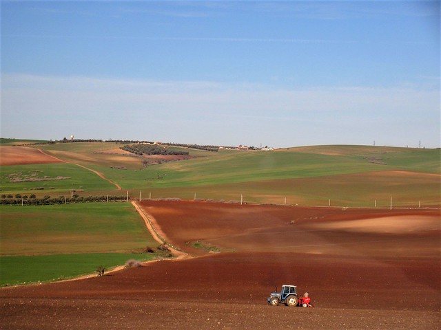 Colors of fields with tractor, A2 motorway, Fez to Rabat, Morocco