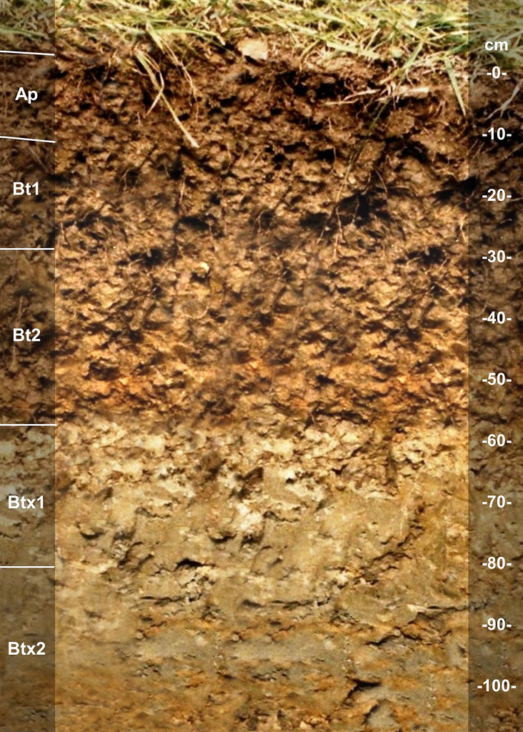 Otwood soil series