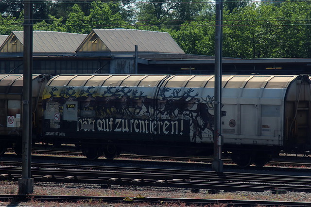 SBB Cargo Güterwagen .... unbekannt mit Graffiti am Güterbahnhof Bern Weyermannshaus bei Bern im Kanton Bern der Schweiz