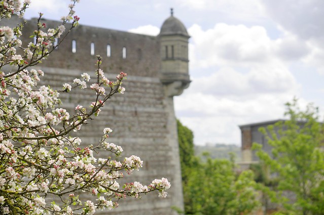 Flower and castle