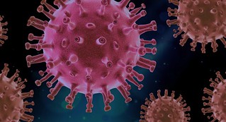 Le questioni aperte sull’origine del coronavirus