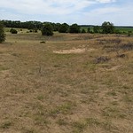 PXL_20210614_175705559 Sand prairie at Henry Allan Gleason Nature Preserve, Mason County, Illinois