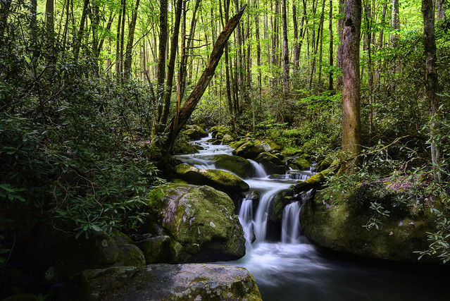 Smokies Creek