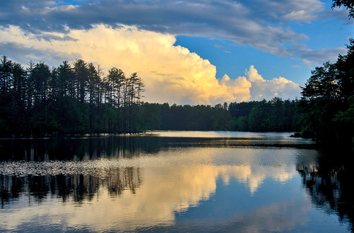 Sunset Cloud by FangQQ, Field Pond, Harold Parker State Forest, Massachusetts, USA

3 shots with bracketing merged with HDRM