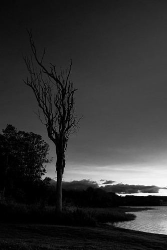australia laketinaroo queensland yungaburra clouds deadtree lake landscape panorama sky sunset