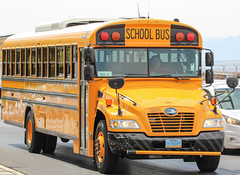 Clark County School District Buses