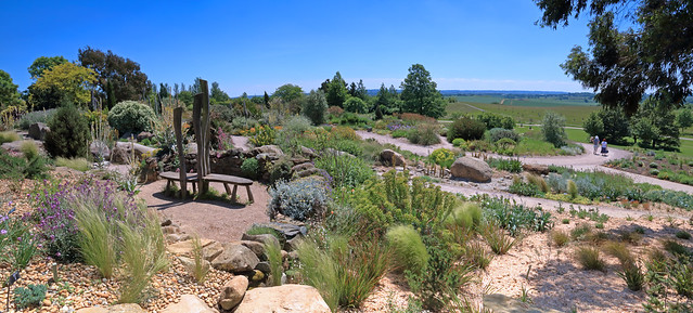 Dry Garden Panorama