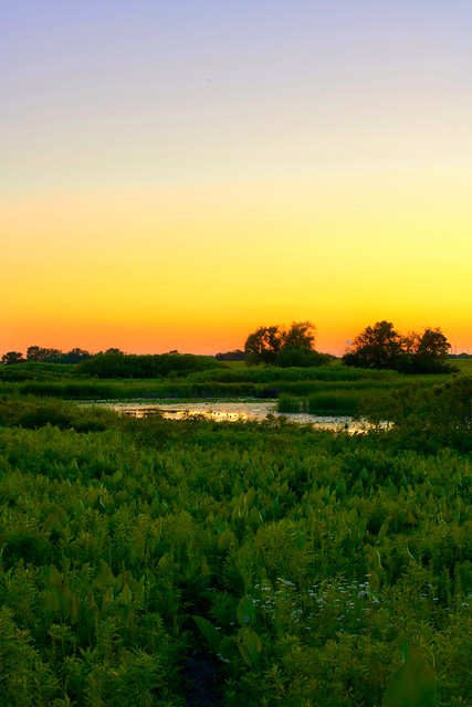A quiet evening over the prairie