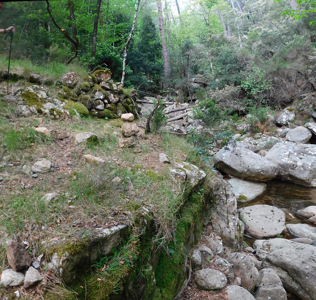Sur le chemin du Carciara amont (HR22) : entre la confluence Frassiccia et les caseddi